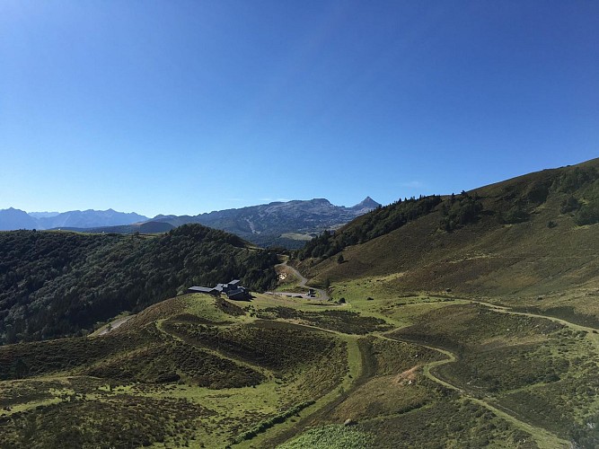 117197887_326565605144767_4227463800003660808_n