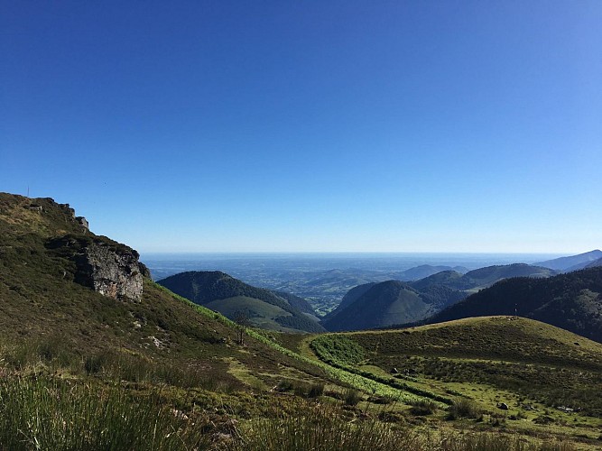 117210683_320237159166563_4922332855774204237_n