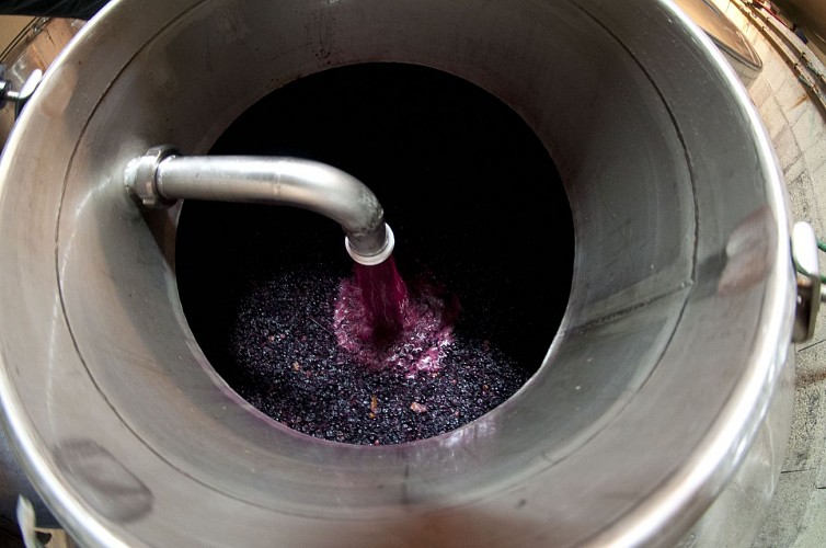 Domaine de la Rotisserie - Marigny-Brizay