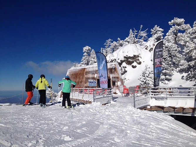 La Palombière de Domi