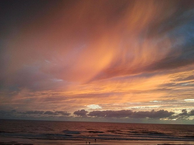 Locations mme Morgan Lacanau (3)