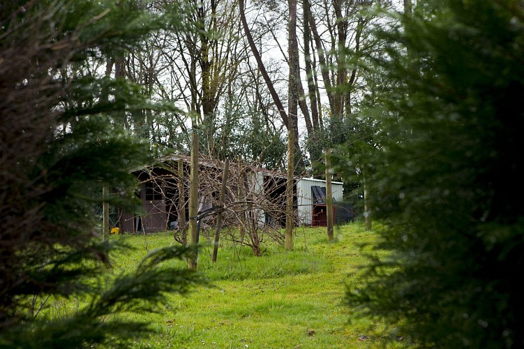 Monsieur Varlet_7063