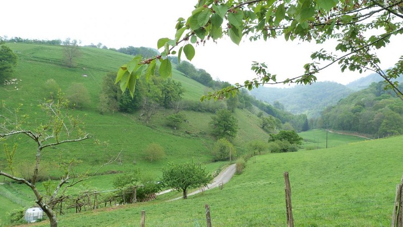 Gîte Loja_environnement_Aussurucq Garaibie64130 (Copier)