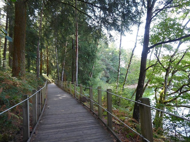 le chemin sur pilotis