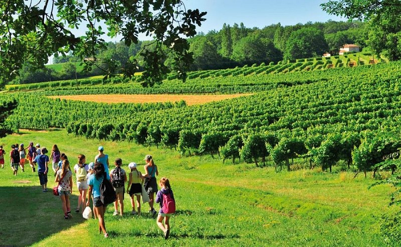 Village Vacances VTF Domaine de Peyrichoux 