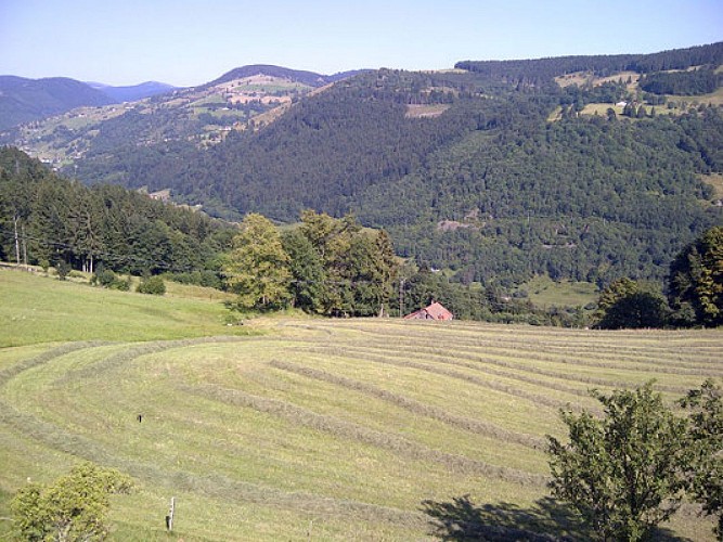 Ferme des alisiers - GAEC du Perhy