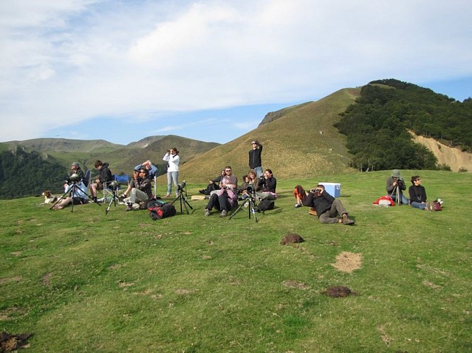 Col d'Organbidexka : observation des oiseaux