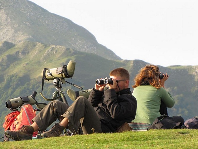 Col d'Organbidexka : observation des oiseaux