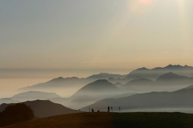 Col d'Organbidexka : observation des oiseaux