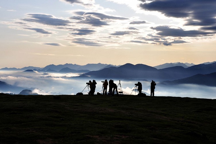 Col d'Organbidexka : observation des oiseaux