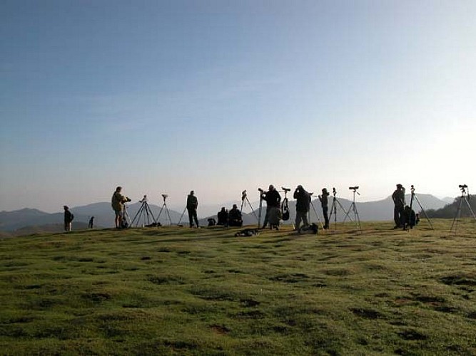 Col d'Organbidexka : observation des oiseaux
