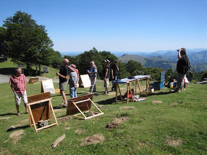 Col d'Organbidexka : observation des oiseaux