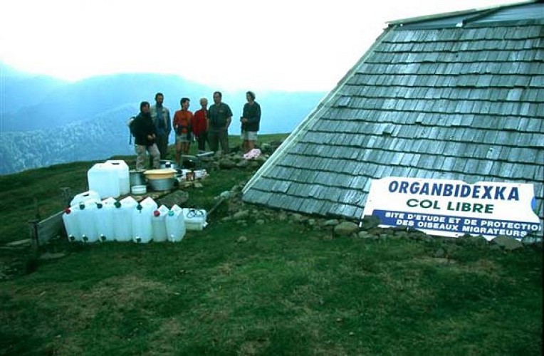 Col d'Organbidexka : observation des oiseaux