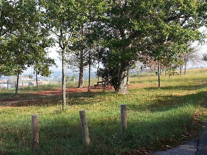 Forêt d'Ustaritz - Table Pique Nique