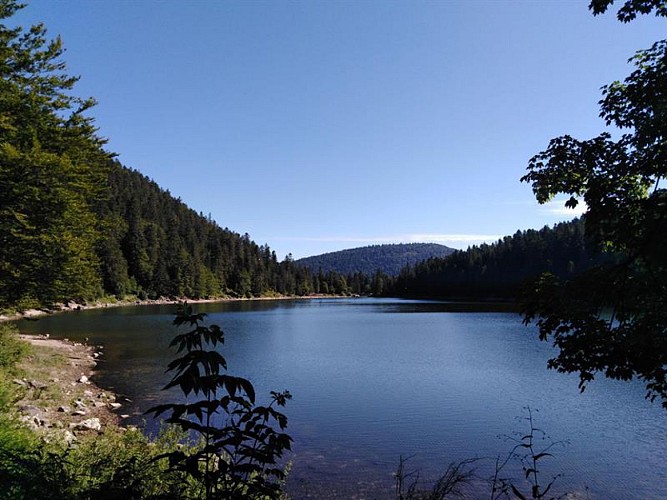 LE LAC DES CORBEAUX