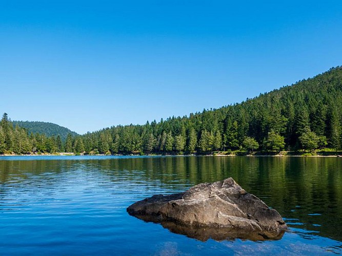 LE LAC DES CORBEAUX