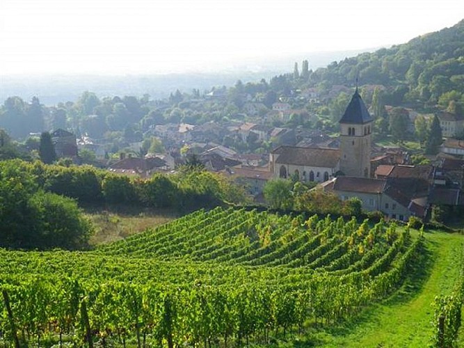 Point d'intérêt CHATEAU DE VAUX VIGNOBLES MOLOZAY Scychazelles Point d'intérêt CHATEAU DE VAUX VIGNOBLES MOLOZAY Scychazelles