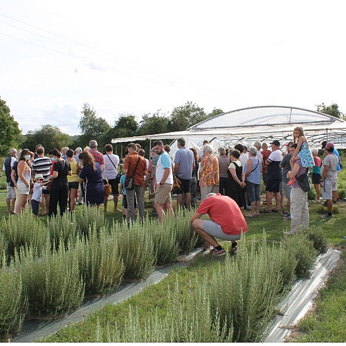 L'Herberie de la Saulx