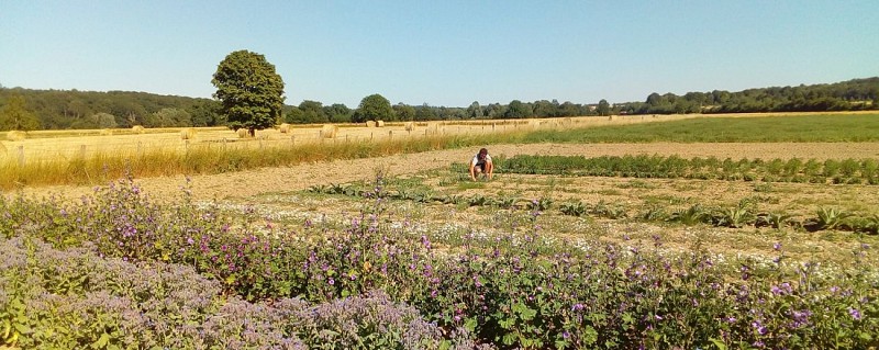 L'Herberie de la Saulx