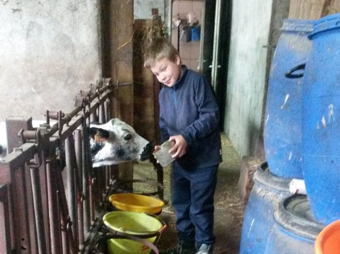 Ferme Grandemange - Gaec du Beillard