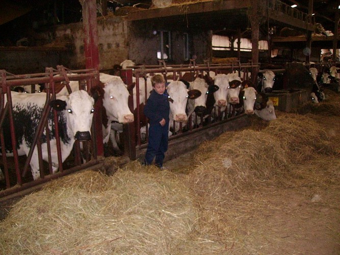 Ferme Grandemange - Gaec du Beillard
