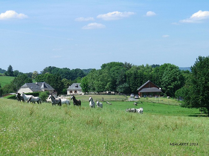Paardenboerderij van Mialaret (Camps St Mathurin Leobazel)