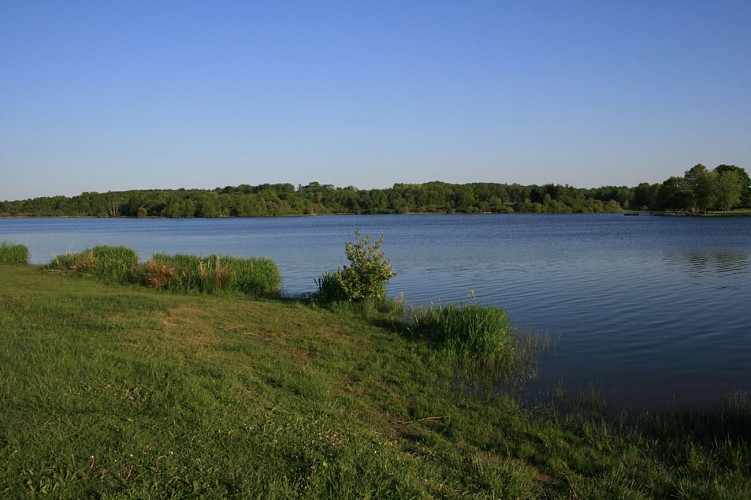 Etang de la Chaume_1