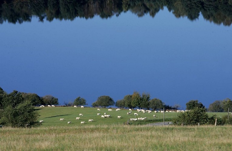 Golf rural du Chammet