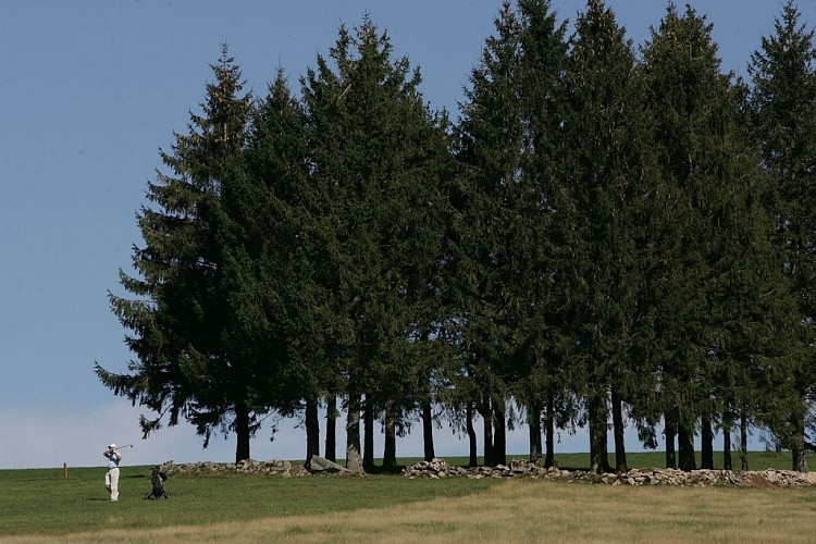 Golf rural du Chammet_4