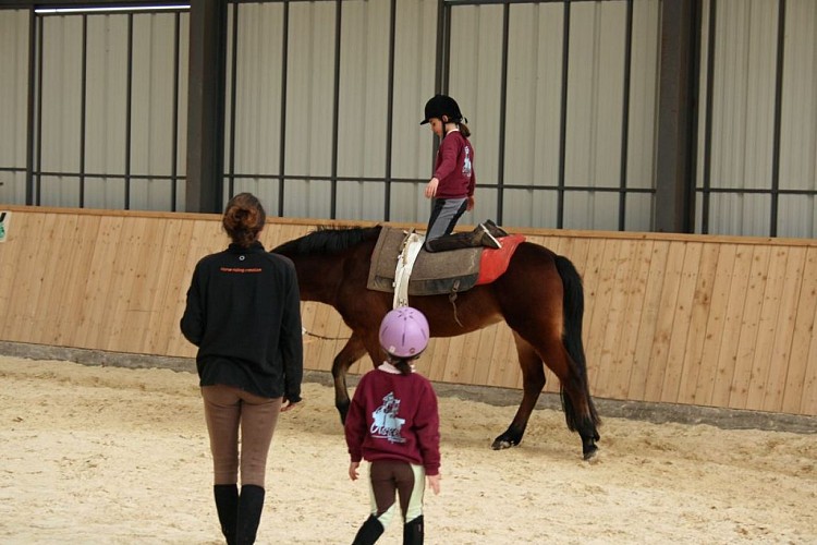 Centre Equestre d'Ussel_2