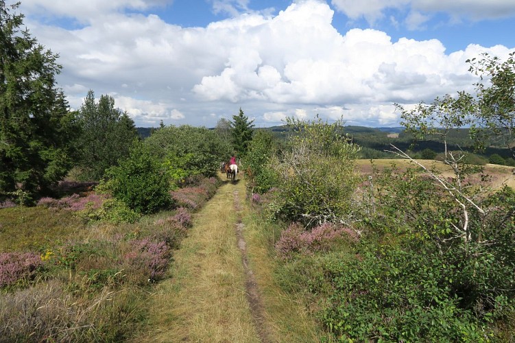 Randonnées équestres écotouristiques en équitation western et éthologique_3