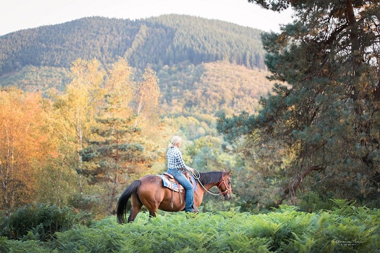 Promenades à cheval en approche éthologique et western_2