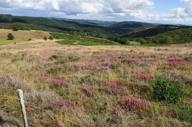 Ferme équestre de Tréphy
