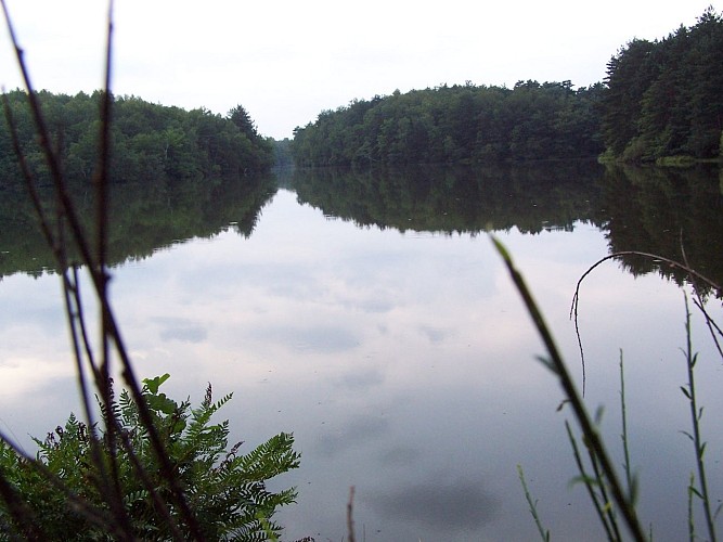 Centre Equestre de Malesse - un écrin de nature_2