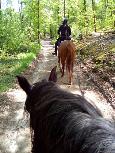 Centre équestre Les Abeilles