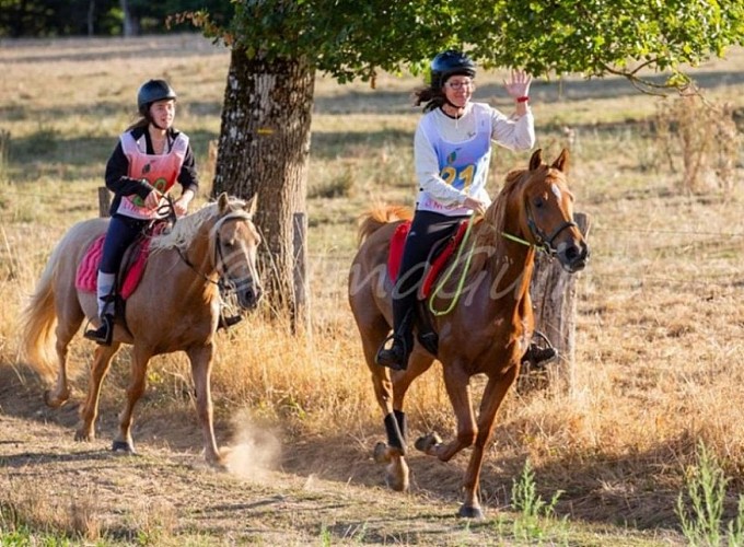 Centre équestre Les Abeilles