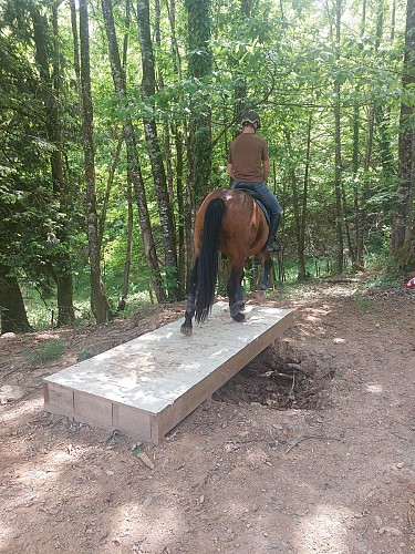 280611295_10224923312423233_868192049597119944_n