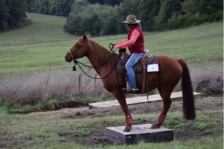NAHANI RANCH-Mountain Trail "Equitation western comportementale"_2