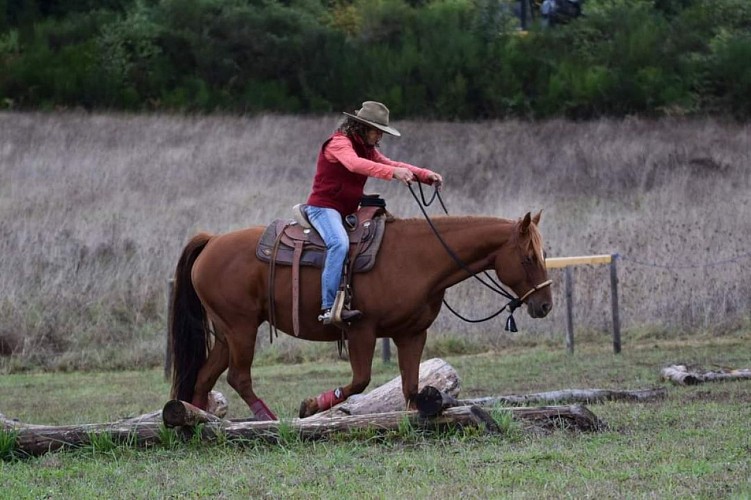 NAHANI RANCH-Mountain Trail "Equitation western comportementale"_6