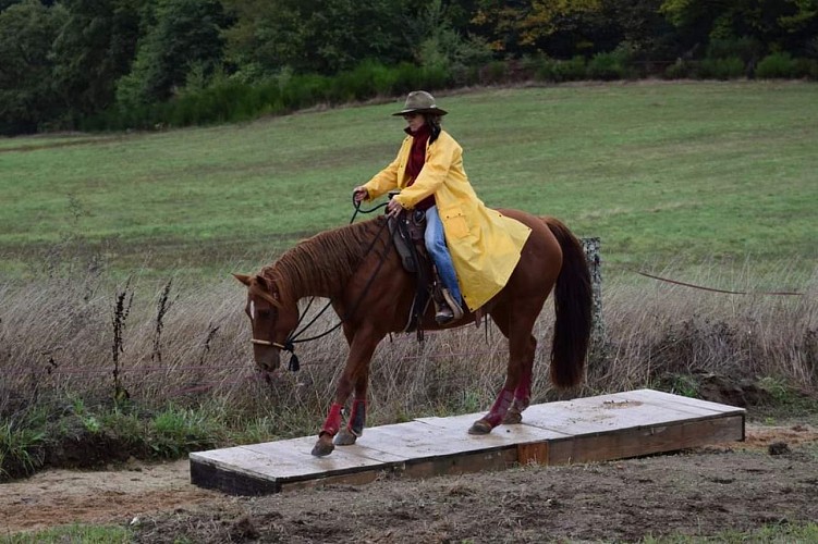 NAHANI RANCH-Mountain Trail "Equitation western comportementale"_7