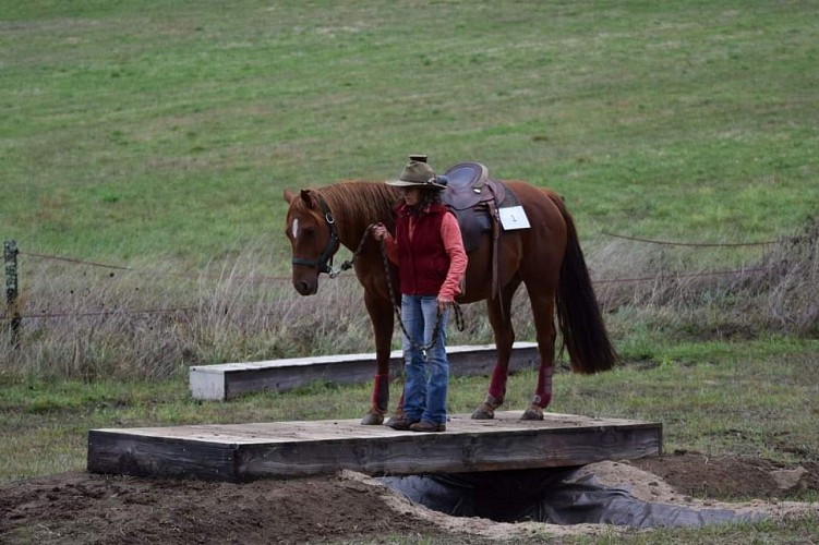 NAHANI RANCH-Mountain Trail "Equitation western comportementale"_9