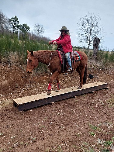 Mountain trail"equitation western comportementale"
