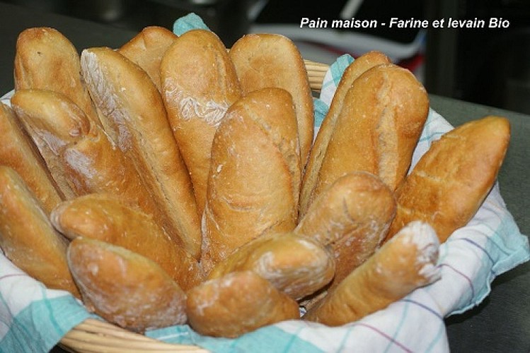 DOMAINE DU MOULIN DE LACHAUD