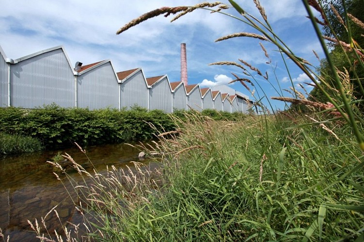 Tricotage des Vosges bleufôret