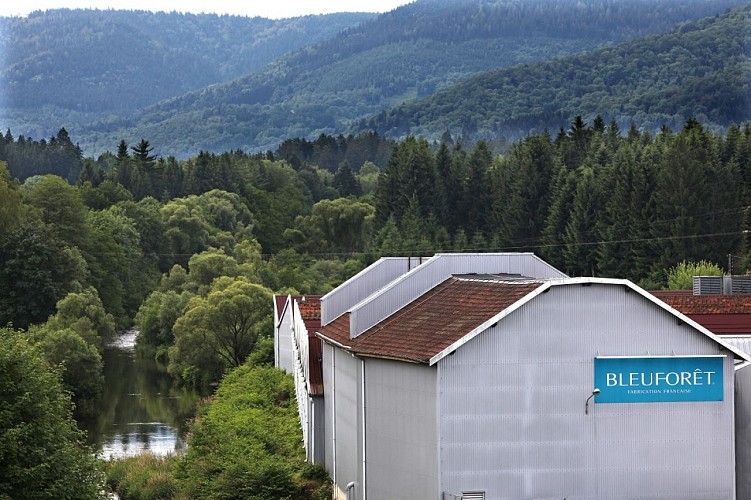 Tricotage des Vosges bleufôret