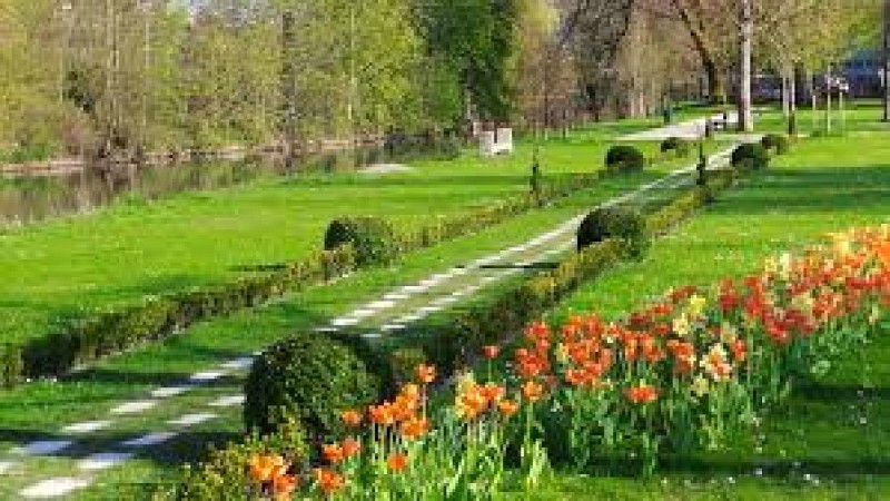 Le parc des Luxembourg