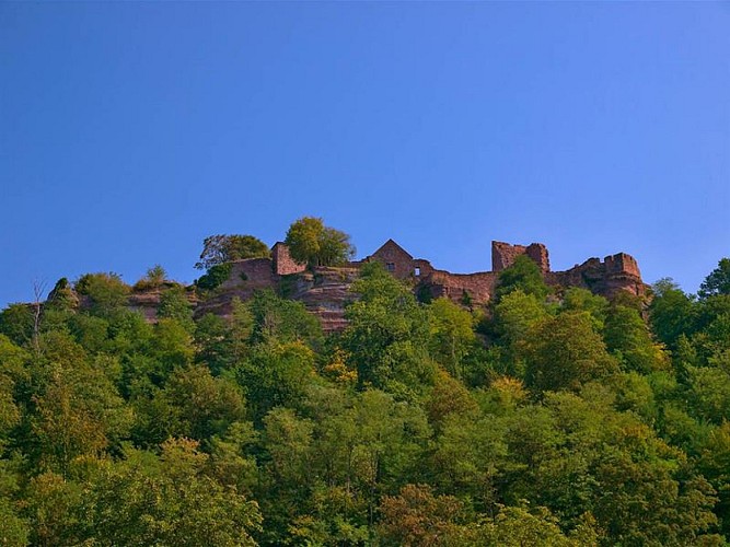 Château de Lutzelbourg