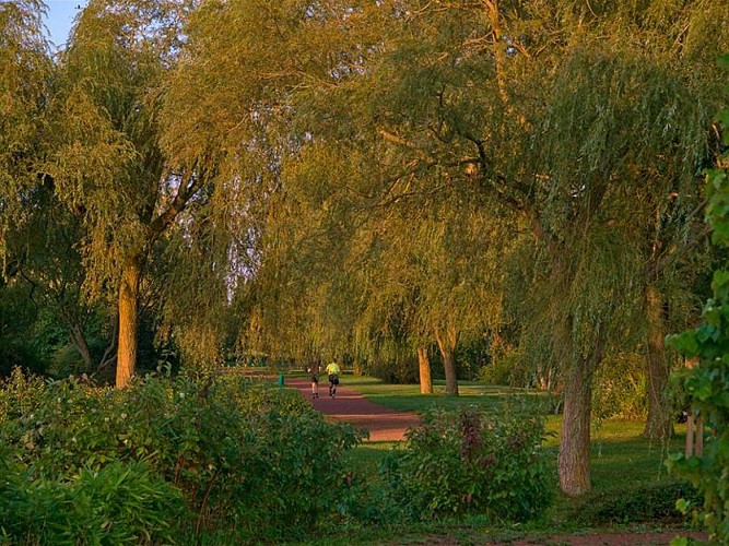 Base de loisirs, Sarrebourg