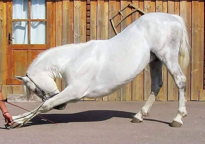 Les écuries du moulin à poudre