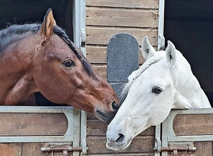 Les écuries du moulin à poudre